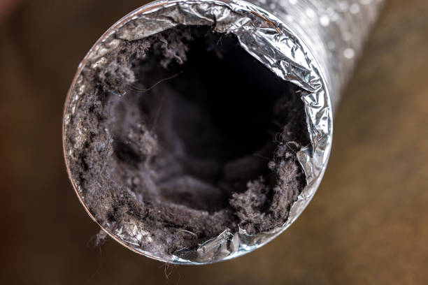 Best Home Air Vent Cleaning  in Christiana, TN