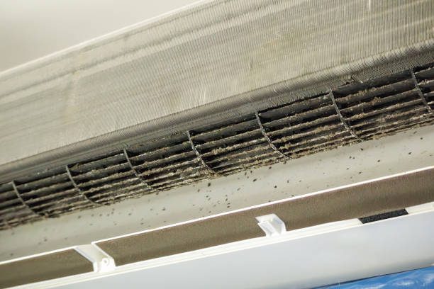 Best Affordable HVAC Duct Cleaning  in Christiana, TN